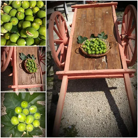 Dağ evi Tenuta De Maffutiis *